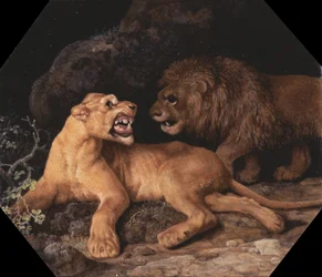Lion and Lioness
